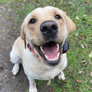 Meet your Posher, Emma